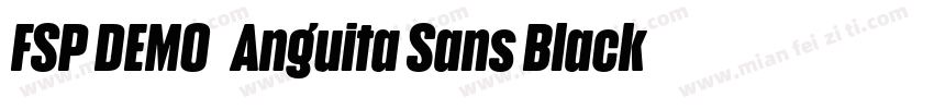 FSP DEMO   Anguita Sans Black Regul字体转换